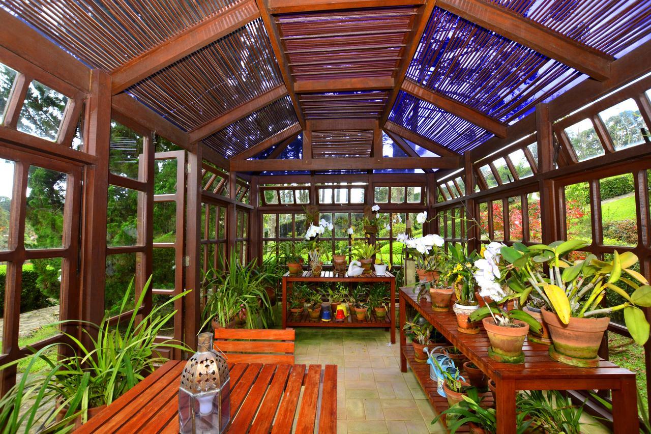 Roots Resort Монти-Верди Экстерьер фото
